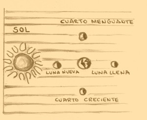 Fases lunares Fases lunares