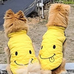 JOOMI JUN
