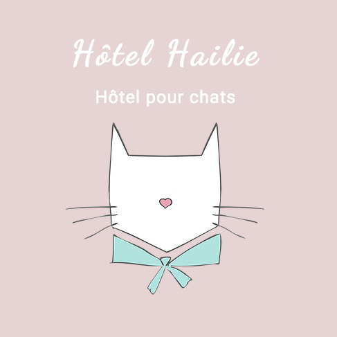 Hôtel Hailie logo