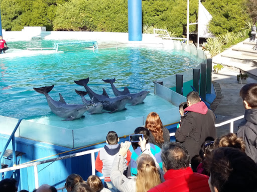 Mar del Plata Aquarium