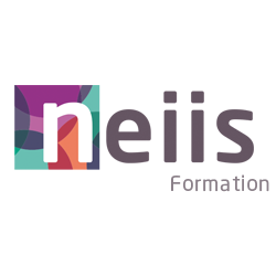 NEIIS formation logo