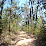 Bennetts Ridge trail (190284)