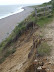 Cliff top erosion at Sizewell