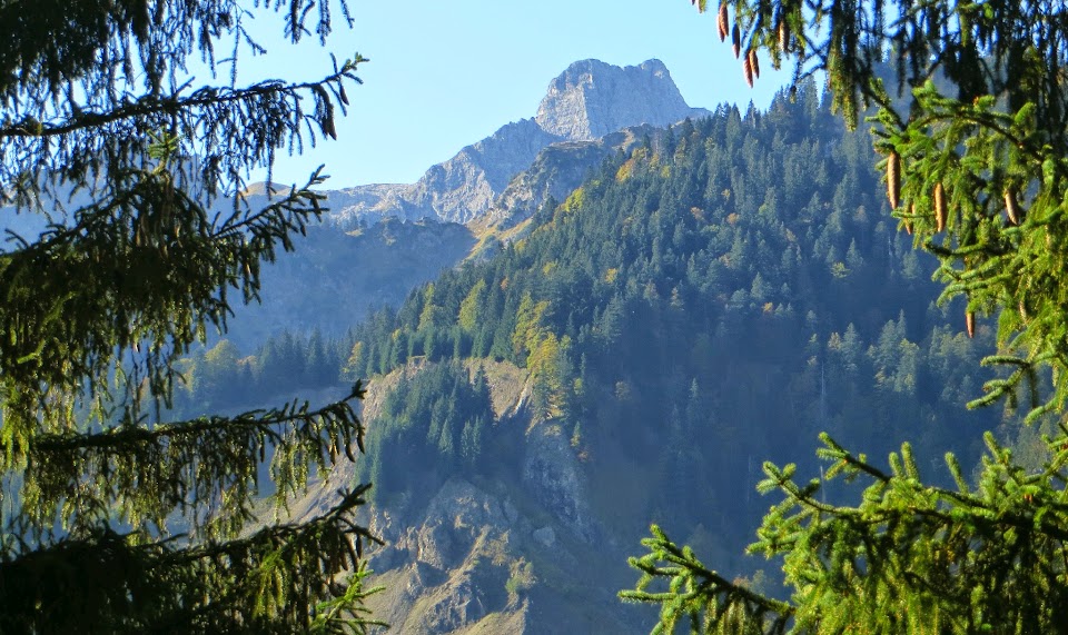 Zipfelsbach Kleiner Daumen Hindelang Hinterstein Allgäu primapage