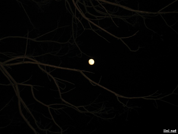 trăng tròn trong đêm tối