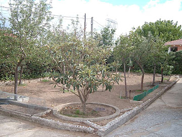 Imagen 6 de Villanueva de Duero