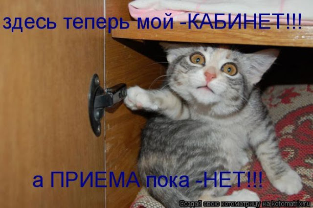 Ни дня без улыбки. Будет и на нашем кладбище праздник! Ни дня без улыбки. Будет и на нашем кладбище праздник!