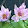 muhammadali rm muhammadali rm's profile photo