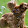 Linda Stephens Linda Stephens's profile photo