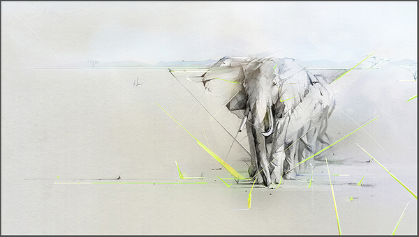 Wallpaper elefante terra final Wallpaper elefante terra final