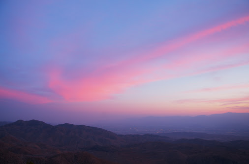 posted image