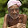 BADAR FADLI BADAR FADLI's profile photo