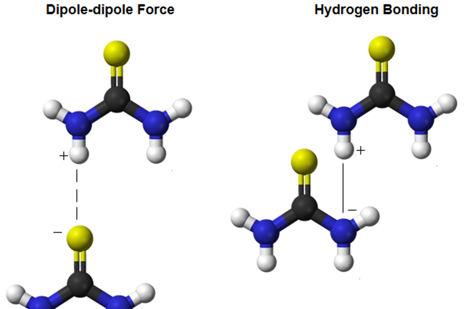 Thiourea Intermolecular Forces Polarity