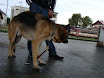 DSC01998.JPG