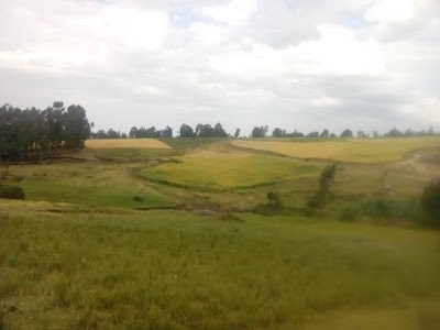 Photos of Dera