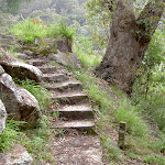 Stairs to Jerusalem Bay Point (28727)