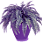 Kajetokun