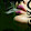 Leila Zoghi Leila Zoghi's profile photo