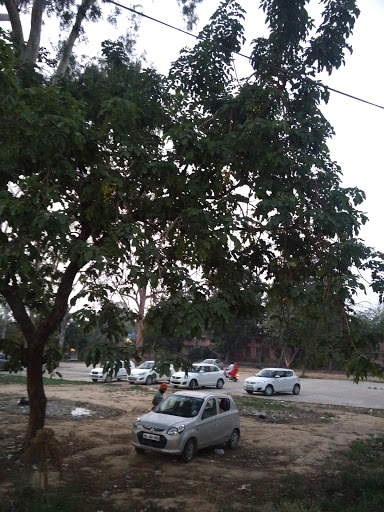Nehru Park, Kala Kendar Ln, Shaheed Bhagat Singh Nagar, Gurdaspur, Punjab 143521, India, Park_and_Garden, state PB