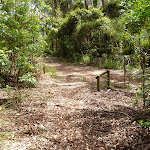 Intersection north of Walkers Ridge and Murrays Forest Roads (364190)