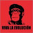 BJ Safdie avatar image