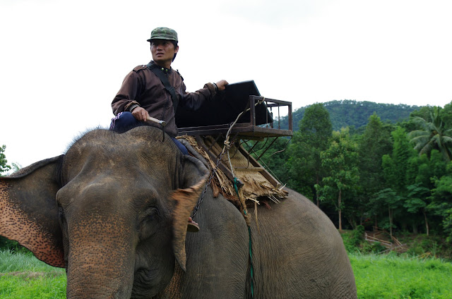 Blog de voyage-en-famille : Voyages en famille, En route pour le pays Lahu