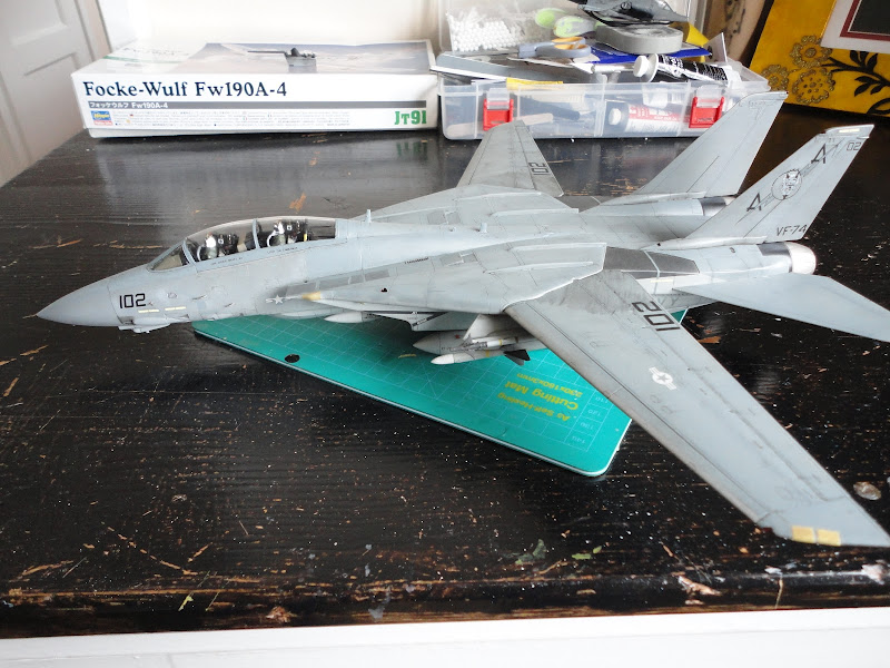 Hasegawa 1:48 F-14A+ Tomcat VF-74 'Bedevilers' (Using PT12, the F-14D CVW-14 kit) FINISHED DSC00830