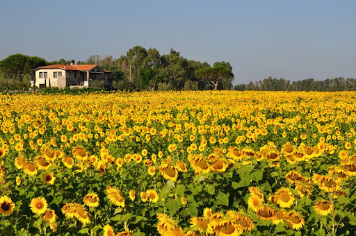 Podere del Priorato