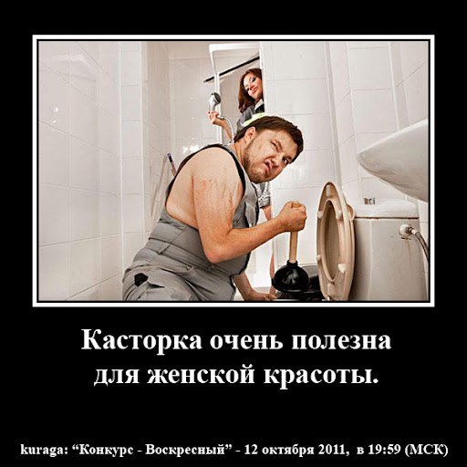 https://lh4.googleusercontent.com/-EdUH8hsXOg0/ToigxZS66DI/AAAAAAAAFEI/WKTwzi94lWI/kastorka-001.jpg