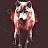 Deana Landi avatar image