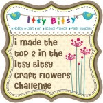 Itsy Bitsy Challenge winner