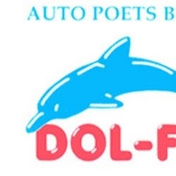 Autopoetsbedrijf Dolfijn Goes logo