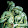 Shyam dxb Shyam dxb's profile photo
