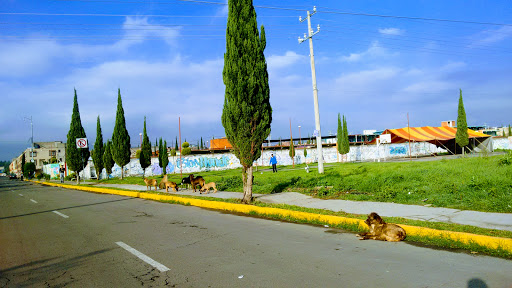Villas Terra I, Portal del Cielo S/N, Conjunto Urbano Portal Chalco, 56600 Chalco de Díaz Covarrubias, Méx., México, Complejo de viviendas | EDOMEX