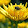 Muhammad Yushak Sajari Muhammad Yushak Sajari's profile photo