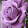 s.lalitha Lalli s.lalitha Lalli's profile photo