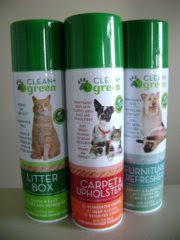 clean green pet stain and odor 