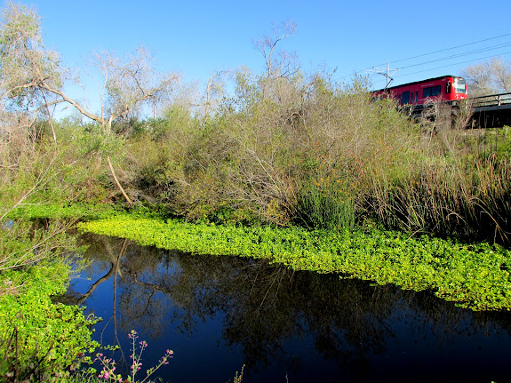 San Diego River