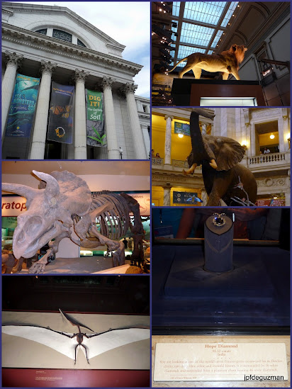 National Museum of Natural History National Museum of Natural History
