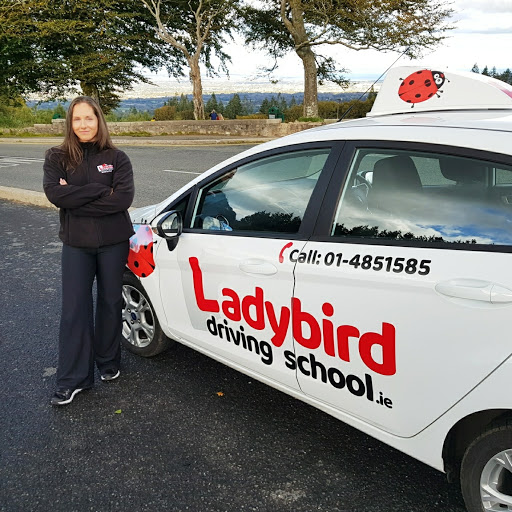 Ladybird Driving School Bray logo