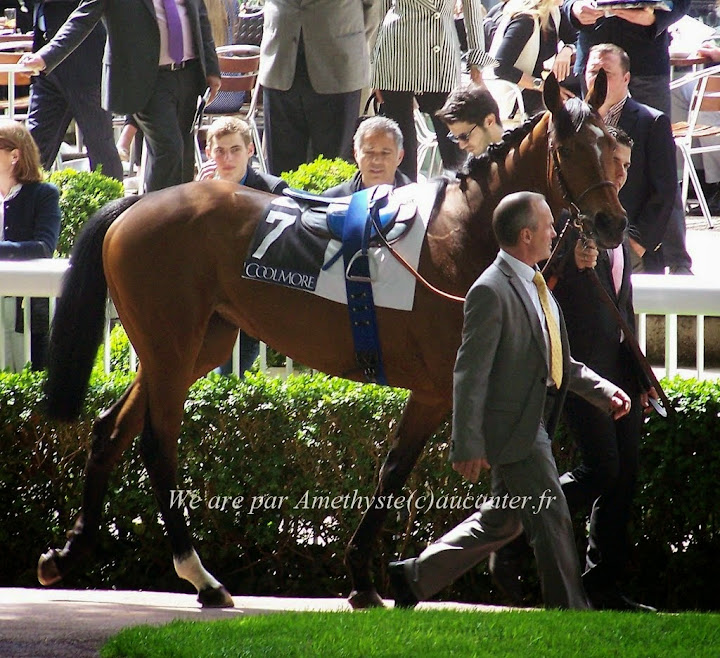 Photos Longchamp 25-05-2014 100_0064