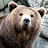 Razvan Eduard avatar image