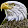 FERNANDO FERNANDEZ MOREIRA FERNANDO FERNANDEZ MOREIRA's profile photo