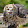 Gary Higgins Gary Higgins's profile photo