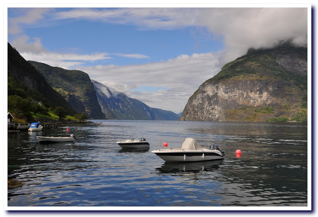 Viaje a la Noruega de los fiordos - Viaje a la Noruega de los fiordos y Copenhague. (71)