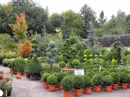Jardinerie de Chevreuse
