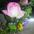 Susan Finlay avatar image
