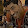 Alex salazar Alex salazar's profile photo