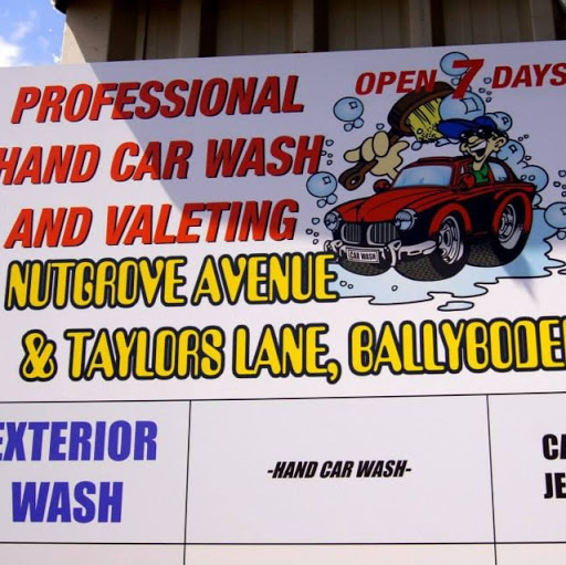Professional Hand Car Wash & Valeting logo