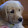 Kelly Dombrowski Kelly Dombrowski's profile photo